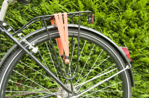 Elastique plat vélo L.60cm